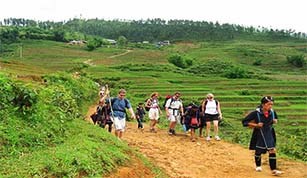 Du Lịch Sa Pa
